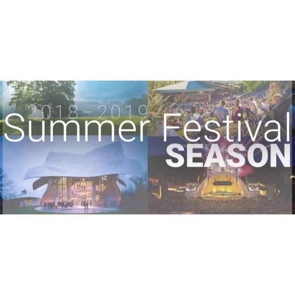 ✨Festival Season✨ MMS Green & Gold Bag - Picture 2 of 8